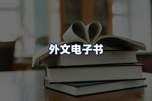 外文电子书
